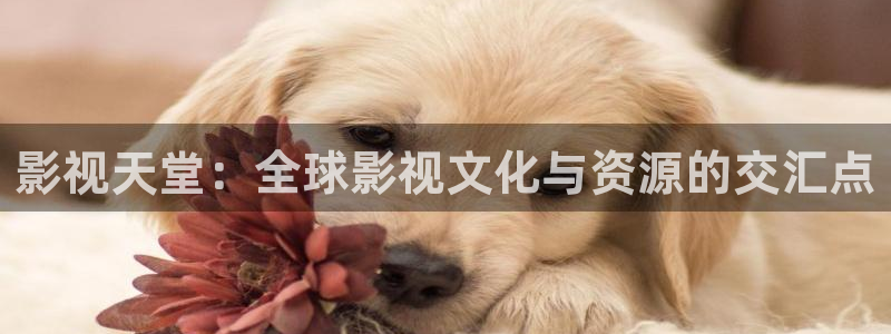 神马电影院达达兔影院