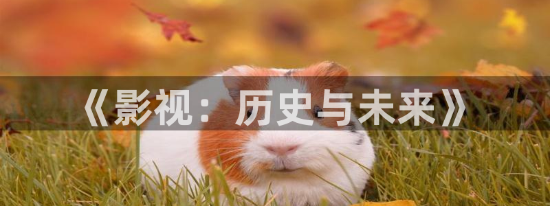 神马影院达达兔不卡